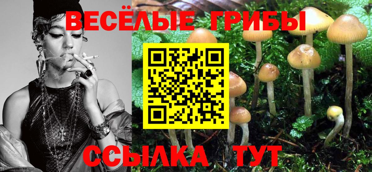 Дивногорск  Галлюциногенные грибы Cubensis  Псилоцибиновые грибы GOLDEN TEACHER  Вход с VPN 