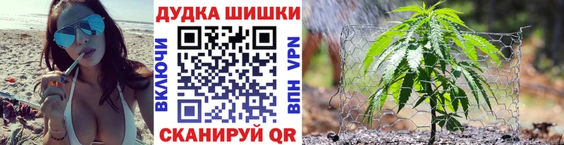 Конопля гибрид  Дивногорск 